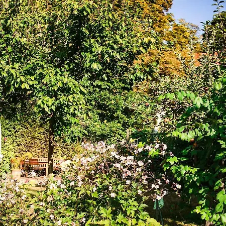 An Der Schlossfahre - Ferienwohnung Forster ****